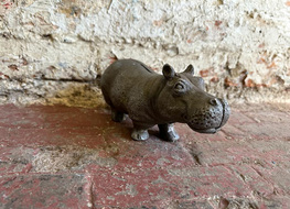 Hippo bank